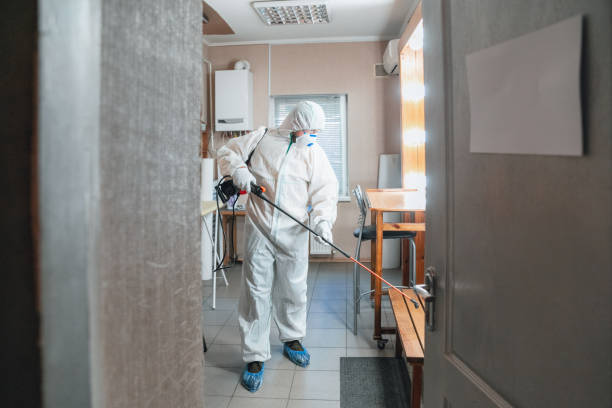 Best Mold Damage Restoration  in St Cloud, MN