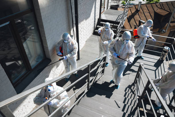 Best Attic Mold Removal  in St Cloud, MN