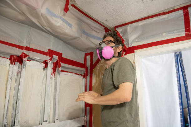 Best Emergency Mold Remediation  in St Cloud, MN