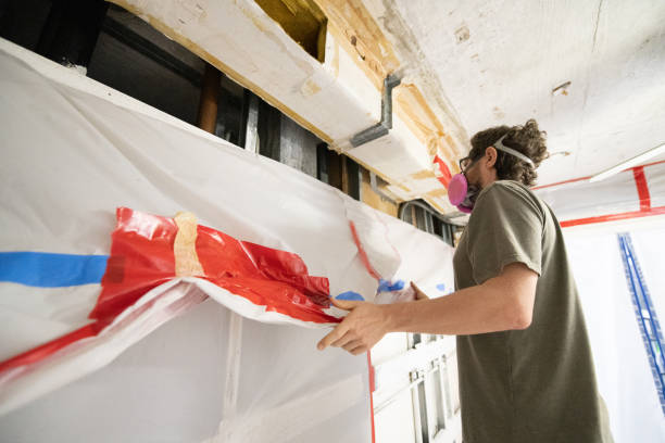 Best Basement Mold Removal  in St Cloud, MN
