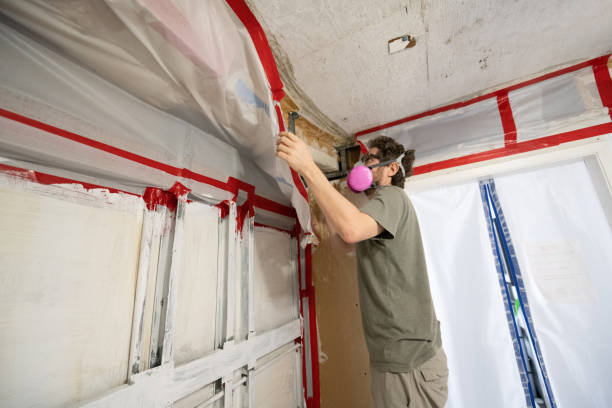 Best Biohazard Mold Removal  in St Cloud, MN