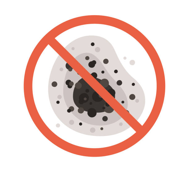 Best Commercial Mold Inspection  in St Cloud, MN