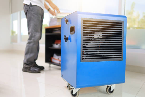 Best Real Estate Mold Inspection  in St Cloud, MN
