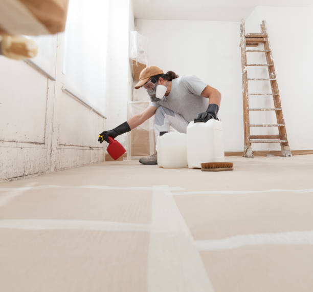 Reliable St Cloud, MN Mold Removal Solutions
